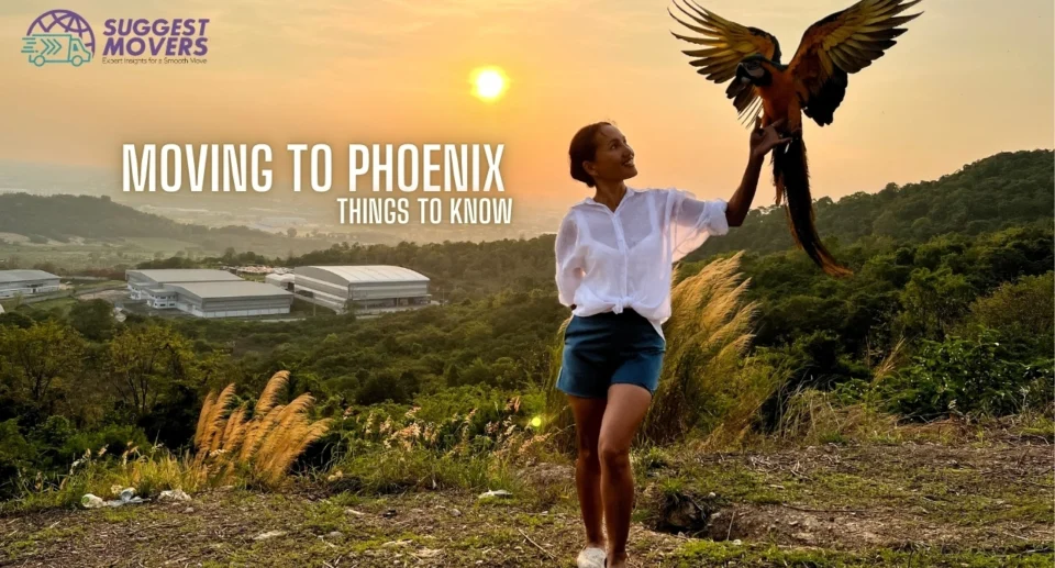 Moving to Phoenix, Your Ultimate Relocation Guide